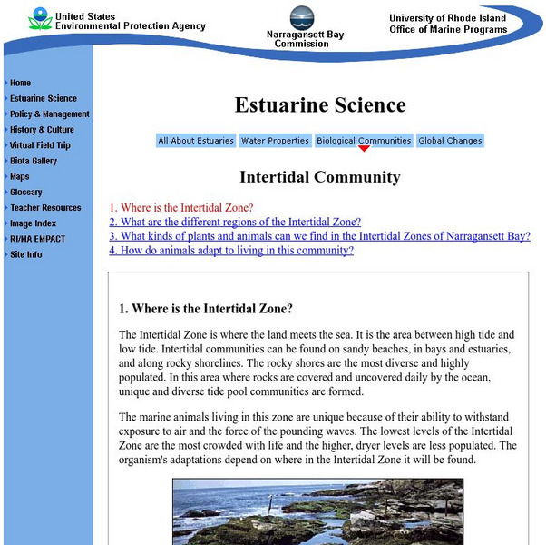 University of Rhode Island: Estuarine Science: Intertidal Zones Handout University of Rhode Island: Estuarine Science: Intertidal Zones Handout