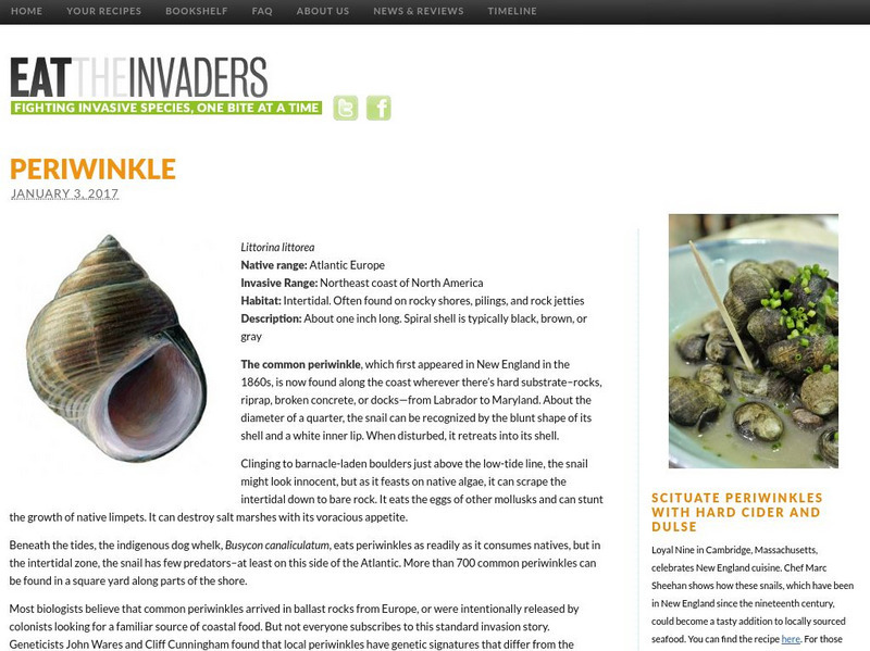 Eat the Invaders: Periwinkle Website Eat the Invaders: Periwinkle Website