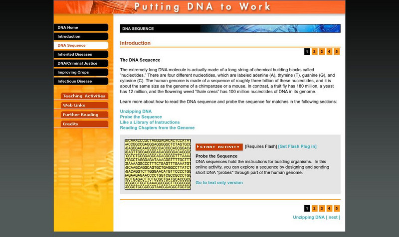 Putting Dna to Work: The Dna Sequence Activity Putting Dna to Work: The Dna Sequence Activity