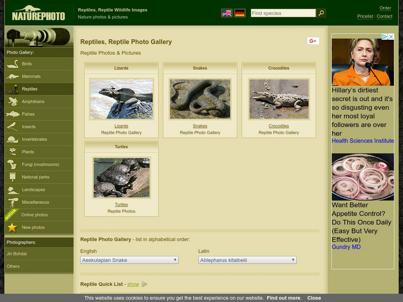 Naturephoto: Reptiles Graphic Naturephoto: Reptiles Graphic