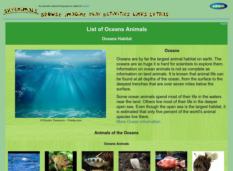 Skyenimals: List of Ocean Animals: Ocean Habitat Graphic Skyenimals: List of Ocean Animals: Ocean Habitat Graphic