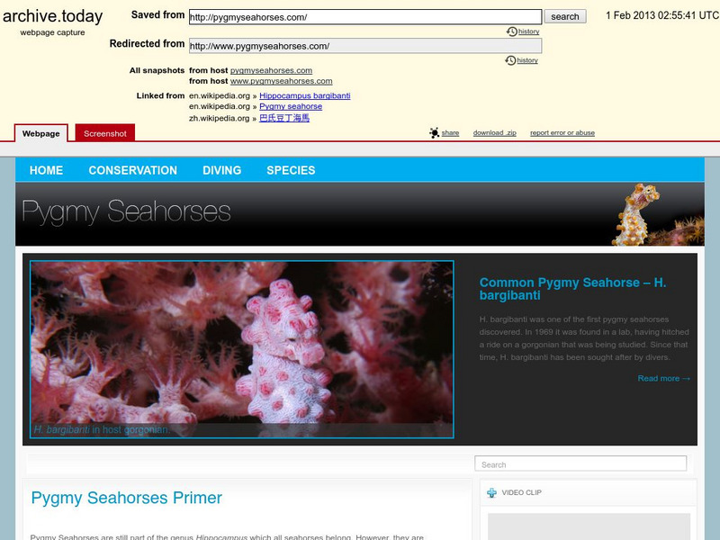 [Archived Content] Pygmy Seahorses: Discovery and Conservation Website