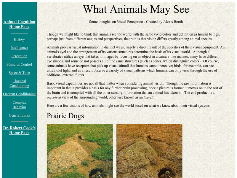 Comparative Cognition Lab: What Animals May See Article Comparative Cognition Lab: What Animals May See Article