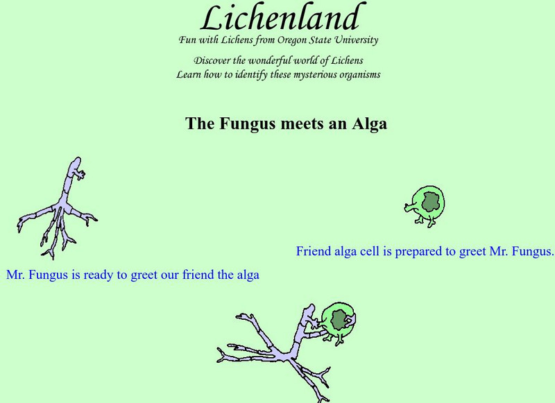 Lichenland: The Fungus Meets an Alga Handout Lichenland: The Fungus Meets an Alga Handout