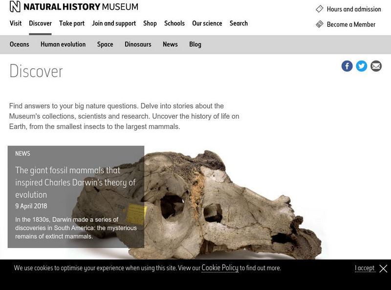 Nhm: The Endeavour Voyage Across the Pacific Activity Nhm: The Endeavour Voyage Across the Pacific Activity