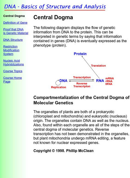 North Dakota State: Central Dogma Handout North Dakota State: Central Dogma Handout