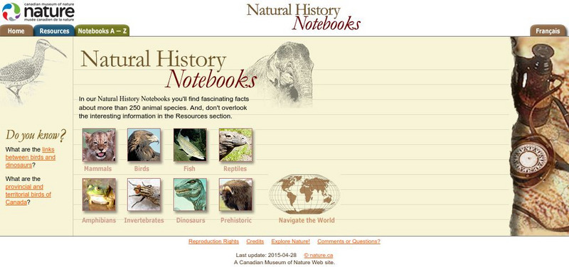 Canadian Museum of Nature: Natural History Notebooks Handout Canadian Museum of Nature: Natural History Notebooks Handout