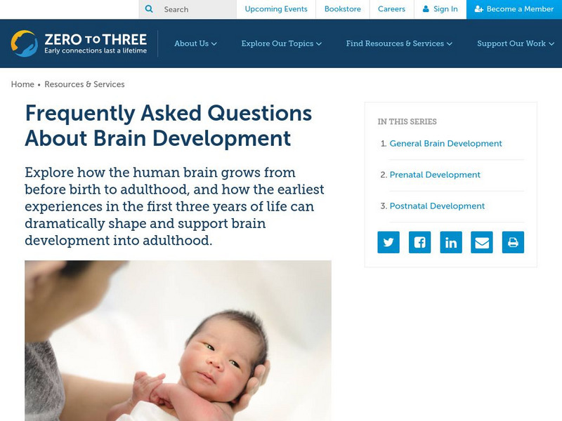 Zero to Three: Brain Development Website Zero to Three: Brain Development Website