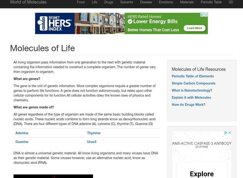 World of Molecules: Molecules of Life Handout World of Molecules: Molecules of Life Handout