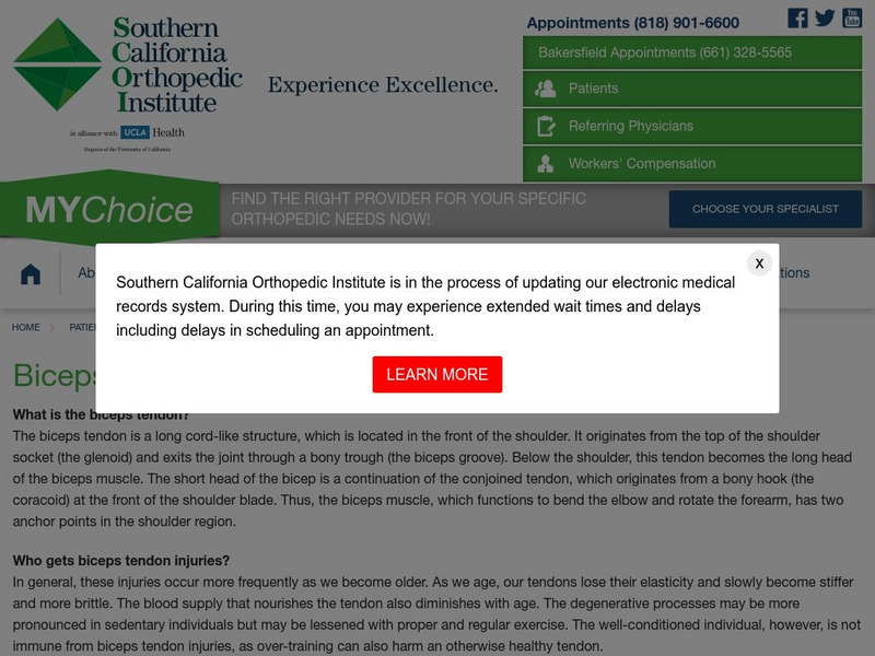 Southern California Orthopedic Institute: Biceps Tendon Handout Southern California Orthopedic Institute: Biceps Tendon Handout