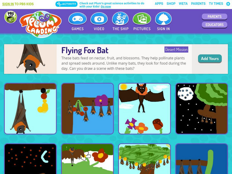 Pbs Kids: Plum Landing: Flying Fox Bat Activity