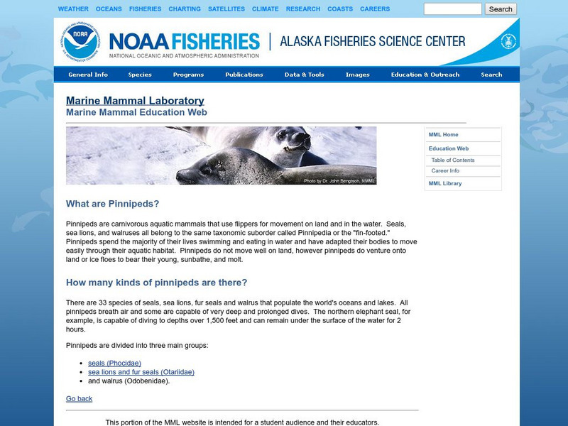 Noaa: Pinnipeds Handout Noaa: Pinnipeds Handout