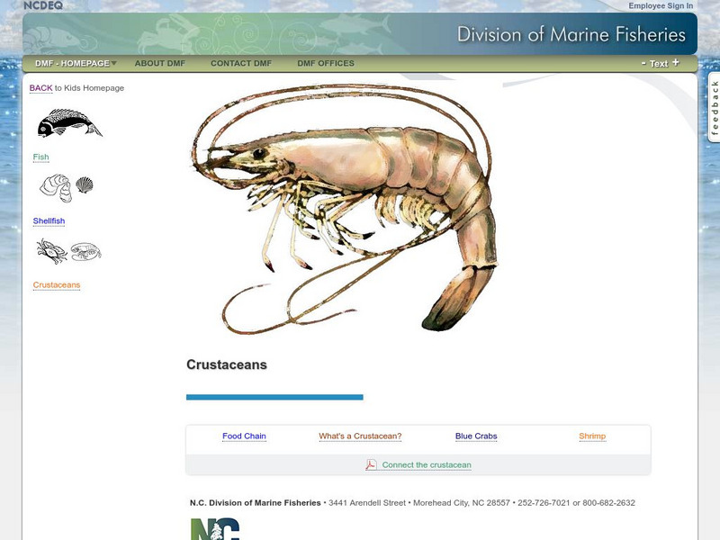 N. Carolina Dep. Of Environment & Natural Resources: Cool Kids: Crustaceans Website N. Carolina Dep. Of Environment & Natural Resources: Cool Kids: Crustaceans Website