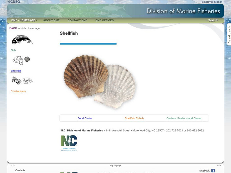 North Carolina Dept of Environment & Natural Resources: Cool Kids: Shellfish Website North Carolina Dept of Environment & Natural Resources: Cool Kids: Shellfish Website
