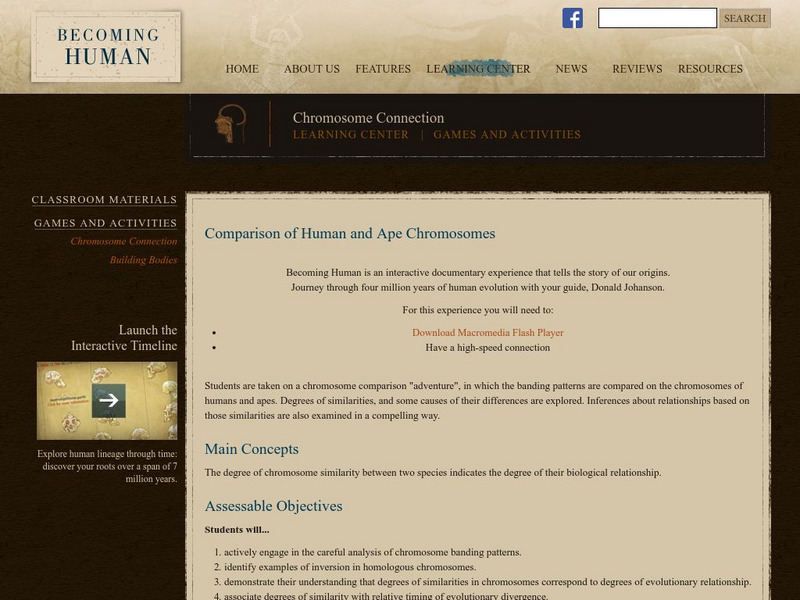 Becoming Human: Comparison of Human and Ape Chromosones Unit Plan Becoming Human: Comparison of Human and Ape Chromosones Unit Plan