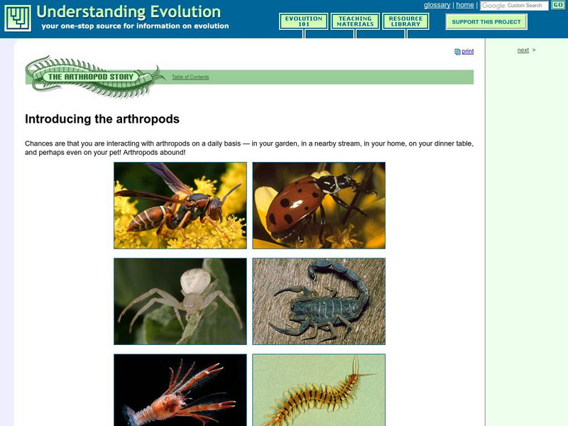 Understanding Evolution: Introducing the Arthropods Graphic Understanding Evolution: Introducing the Arthropods Graphic