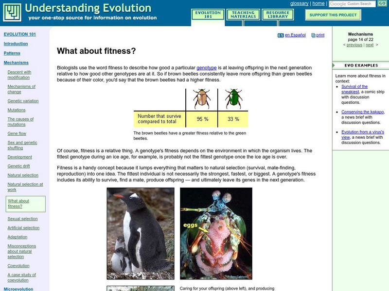 University of California Museum of Paleontology: What About Fitness? Handout University of California Museum of Paleontology: What About Fitness? Handout