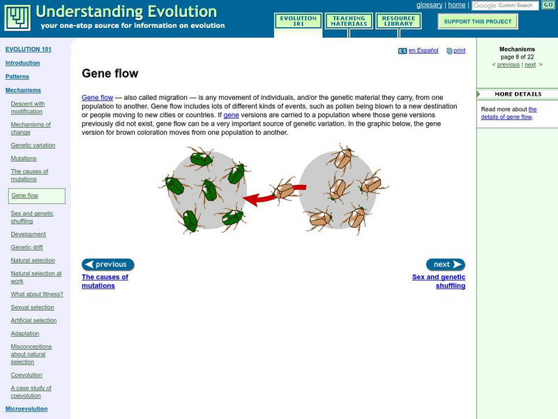 University of California Museum of Paleontology: Evolution 101: Gene Flow Handout University of California Museum of Paleontology: Evolution 101: Gene Flow Handout