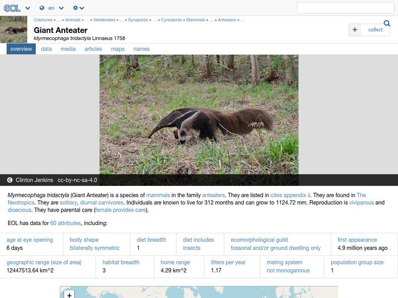 Encyclopedia of Life: Giant Anteater Handout Encyclopedia of Life: Giant Anteater Handout