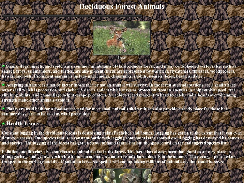 Thurston High School: Deciduous Forest Animals Handout Thurston High School: Deciduous Forest Animals Handout