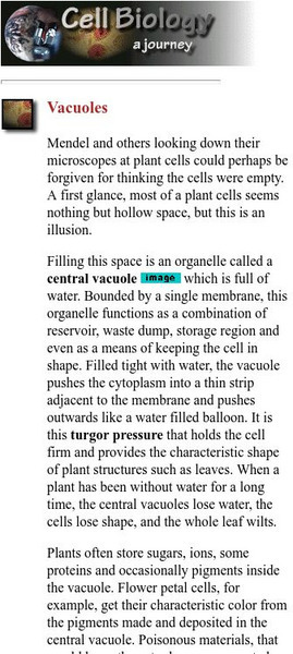 Cell Biology: Vacuoles Handout Cell Biology: Vacuoles Handout
