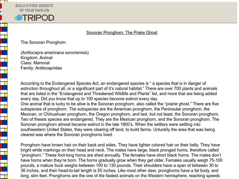 Sonoran Pronghorn the Praire Ghost Handout Sonoran Pronghorn the Praire Ghost Handout