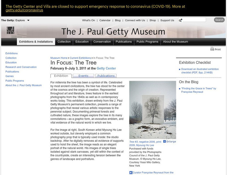 J. Paul Getty Museum: In Focus: The Tree Website J. Paul Getty Museum: In Focus: The Tree Website