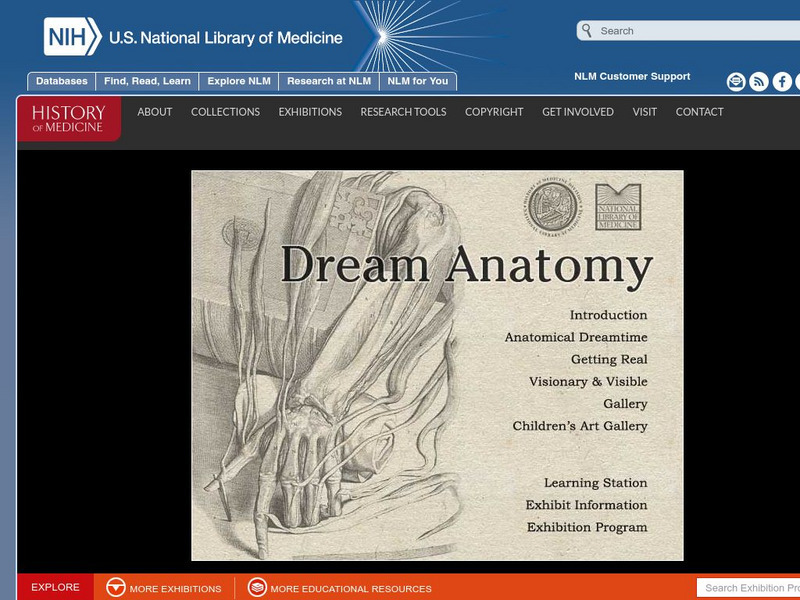 National Library of Medicine: Dream Anatomy Website National Library of Medicine: Dream Anatomy Website