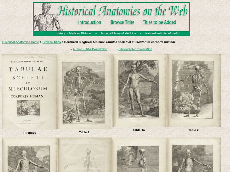 National Library of Medicine: Historical Anatomies of the Web: Albinus, Bernhard Website National Library of Medicine: Historical Anatomies of the Web: Albinus, Bernhard Website