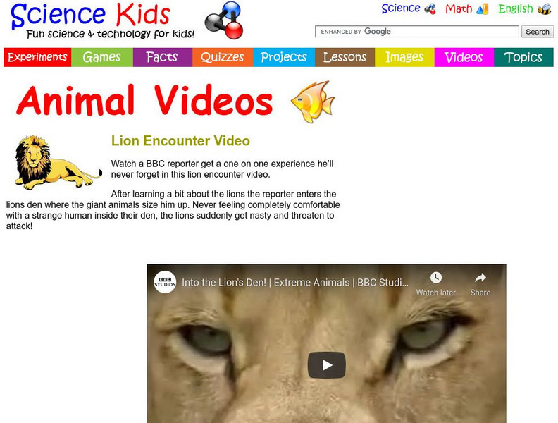 Science Kids: Animal Videos: Lion Encounter Video Instructional Video