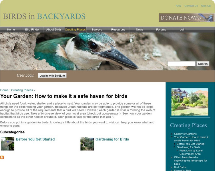 Your Garden: How to Make It a Safe Haven for Birds Activity