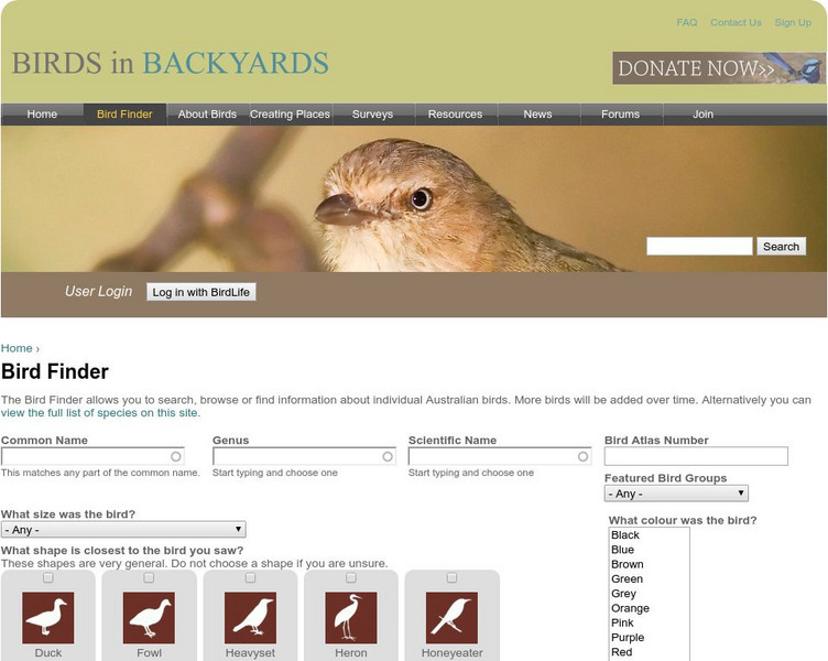 Australian Museum: Birds in Backyards: Bird Finder Interactive Australian Museum: Birds in Backyards: Bird Finder Interactive