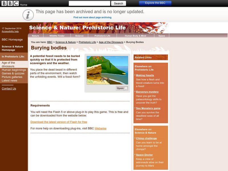 Bbc: Conditions for Fossil Formation Interactive Bbc: Conditions for Fossil Formation Interactive