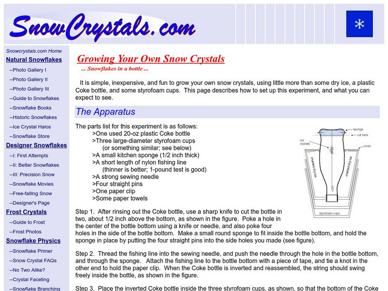 Growing Your Own Snow Crystals Activity Growing Your Own Snow Crystals Activity