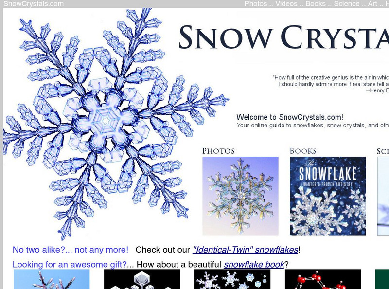 Guide to Snowflakes Graphic Guide to Snowflakes Graphic