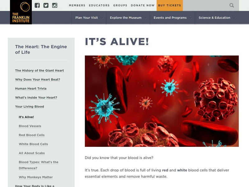 Franklin Institute Online: Your Living Blood: It's Alive! Handout Franklin Institute Online: Your Living Blood: It's Alive! Handout