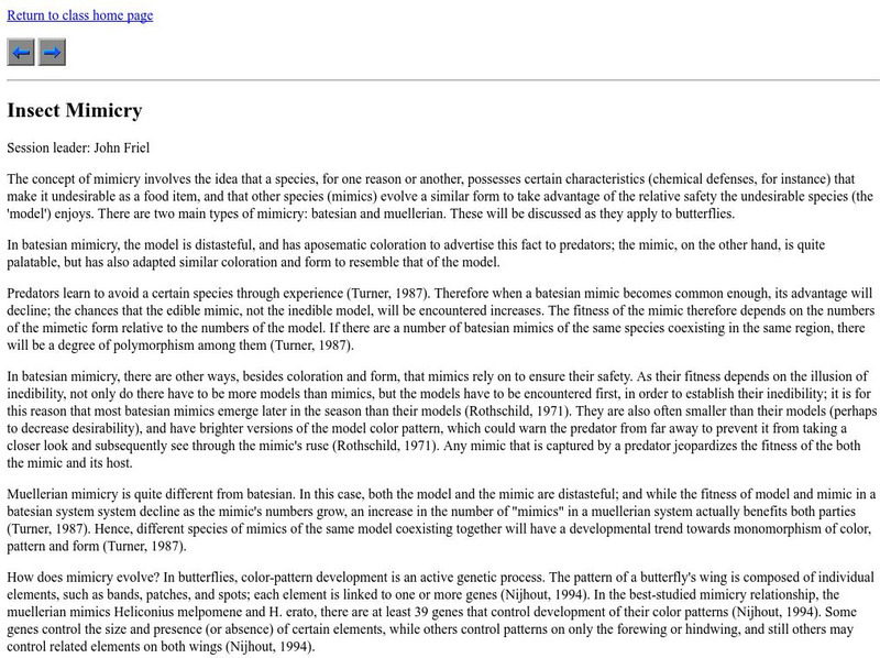 University of Arizona: Insect Mimicry Handout University of Arizona: Insect Mimicry Handout
