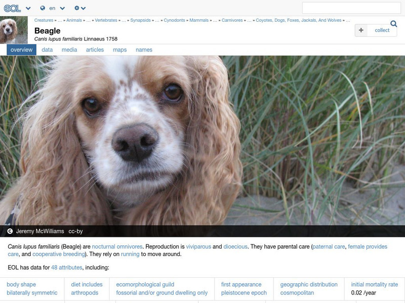 Encyclopedia of Life: Dog Handout Encyclopedia of Life: Dog Handout