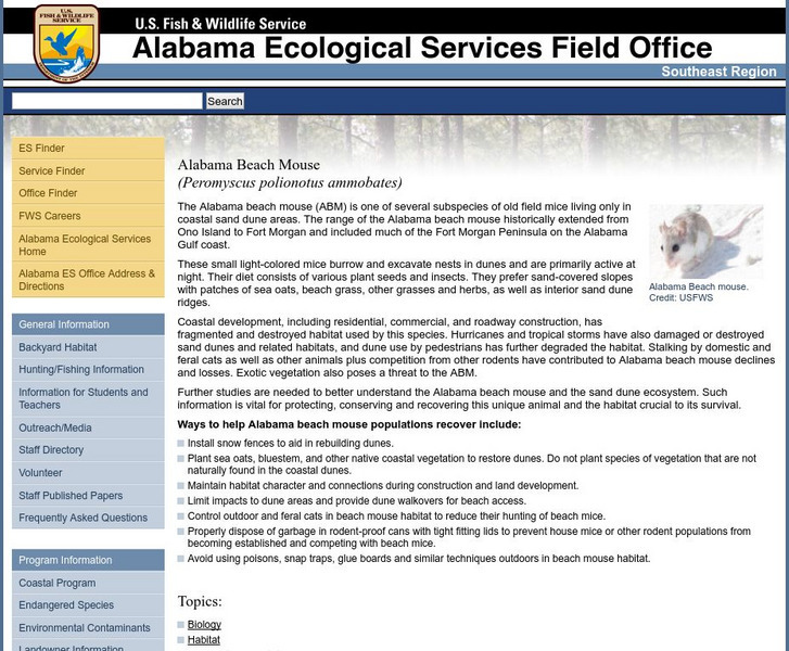 U.s. Fish & Wildlife Service: Alabama Beach Mouse Article U.s. Fish & Wildlife Service: Alabama Beach Mouse Article
