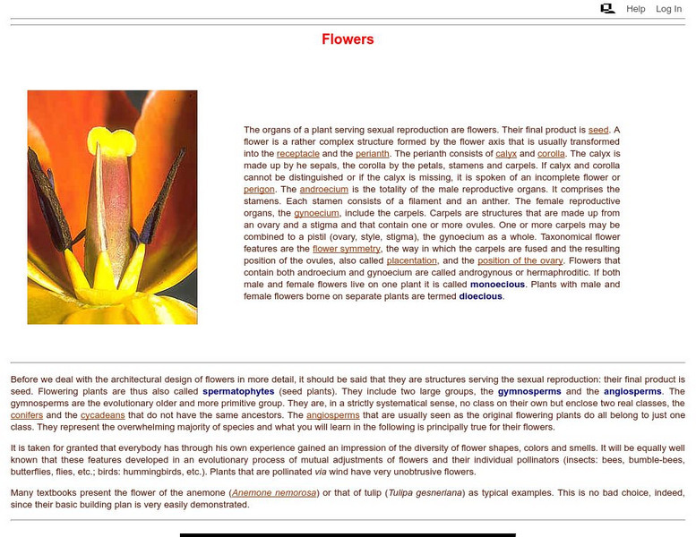 Michigan State University: Botany Online: Features of Flowering Plants: Flowers Handout Michigan State University: Botany Online: Features of Flowering Plants: Flowers Handout