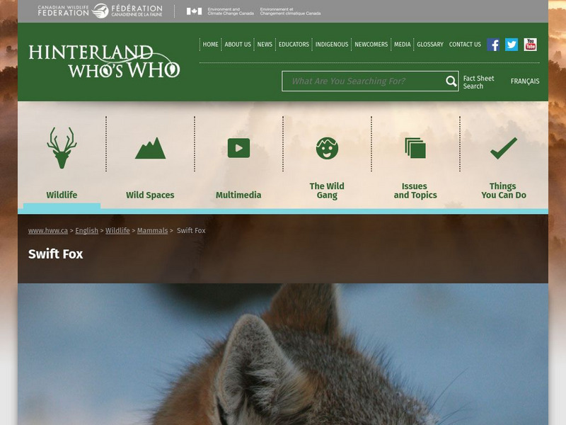 Hinterland Who's Who: Swift Fox Unit Plan Hinterland Who's Who: Swift Fox Unit Plan