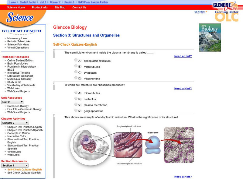 Glencoe Biology: Structures and Organelles: Self Check Quiz Unknown Type Glencoe Biology: Structures and Organelles: Self Check Quiz Unknown Type