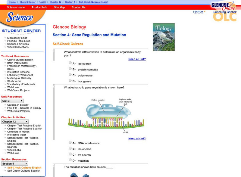 Glencoe Biology: Gene Regulation and Mutation: Self Check Quiz Unknown Type Glencoe Biology: Gene Regulation and Mutation: Self Check Quiz Unknown Type