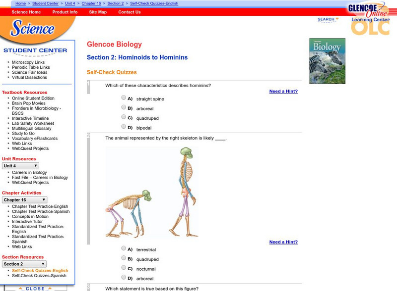 Glencoe Biology: Hominoids to Hominins: Self Check Quiz Unknown Type