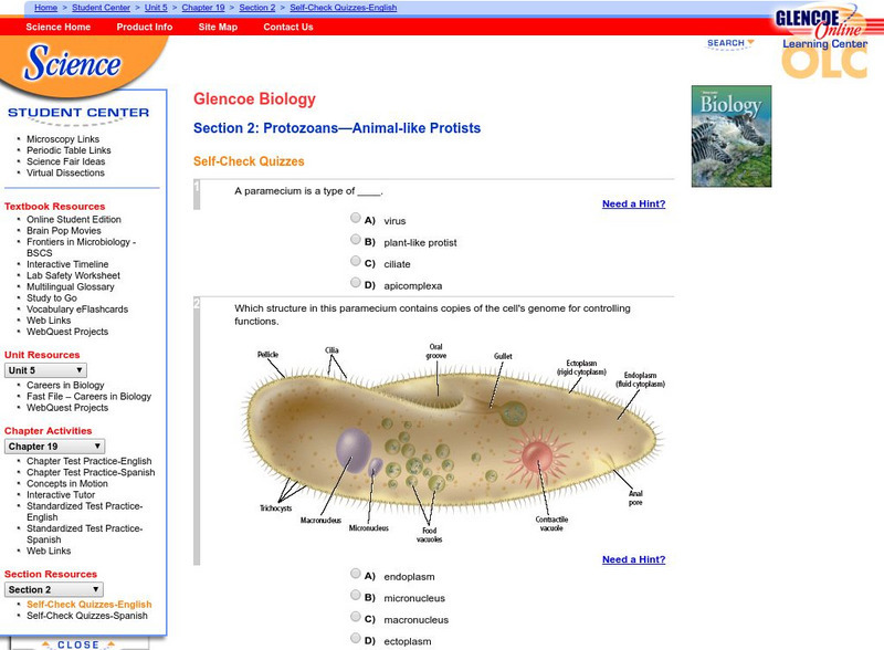 Glencoe Biology: Protozoans Animal Like Protists: Self Check Quiz Unknown Type