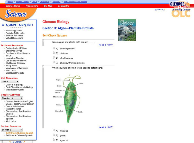 Glencoe Biology: Algae Plantlike Protists: Self Check Quiz Unknown Type