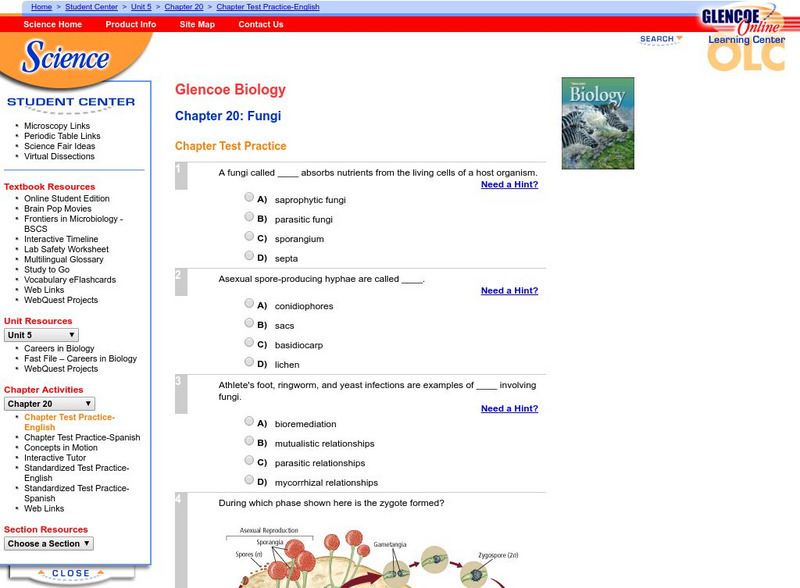 Glencoe Biology: Fungi: Chapter Test Practice Unknown Type