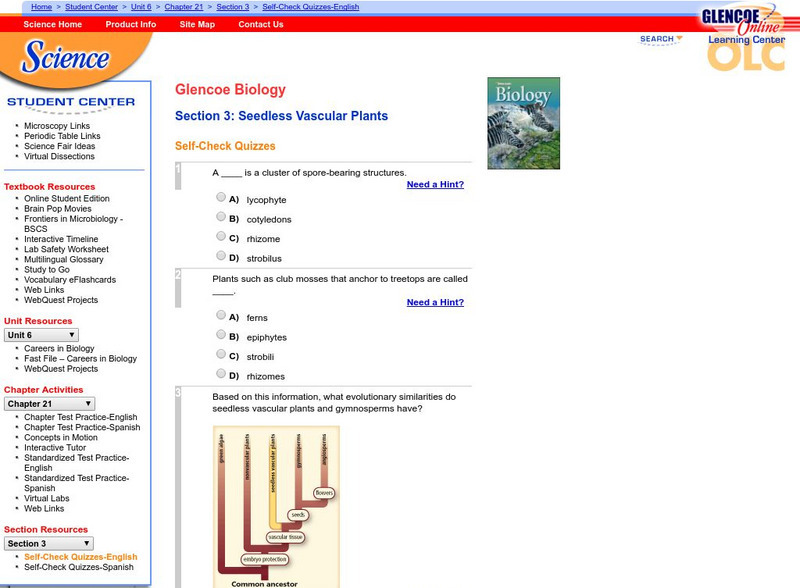 Glencoe Biology: Seedless Vascular Plants: Self Check Quiz Unknown Type