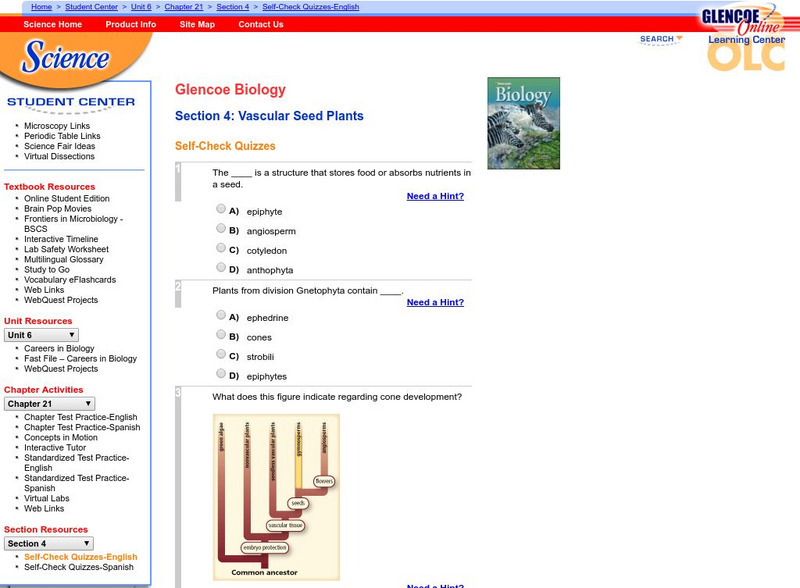 Glencoe Biology: Vascular Seed Plants: Self Check Quiz Unknown Type Glencoe Biology: Vascular Seed Plants: Self Check Quiz Unknown Type