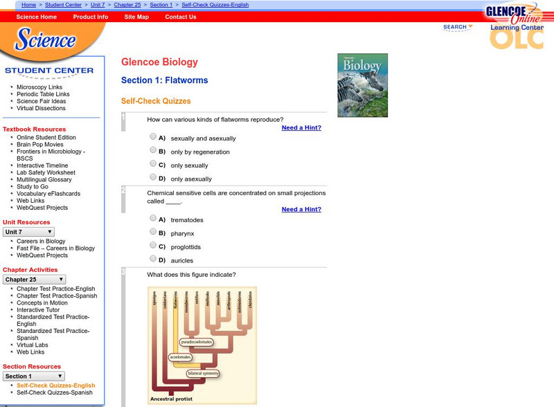 Glencoe Biology: Flatworms: Self Check Quiz Unknown Type